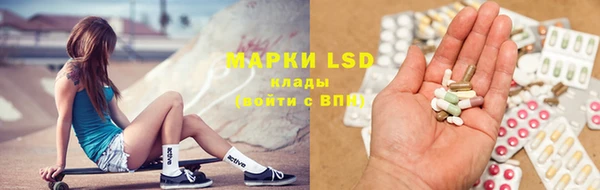 PSILOCYBIN Киренск