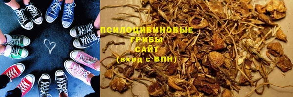 PSILOCYBIN Киренск
