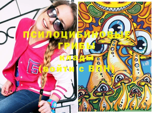 PSILOCYBIN Киренск