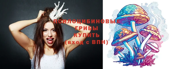 PSILOCYBIN Киренск