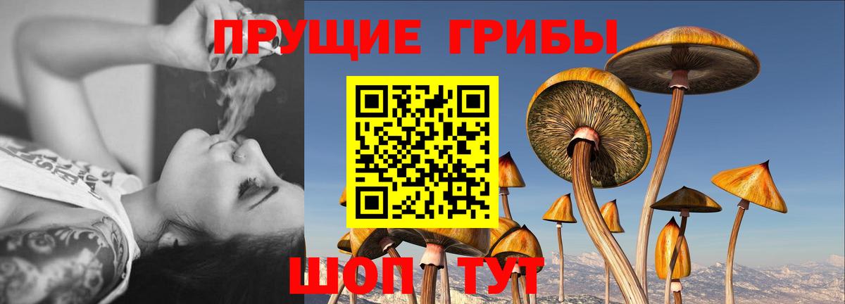 Галлюциногенные грибы прущие грибы Сердобск